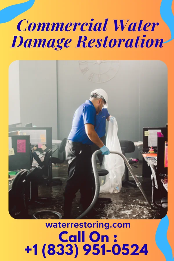 Commercial Water Damage Restoration in Isanti, MN